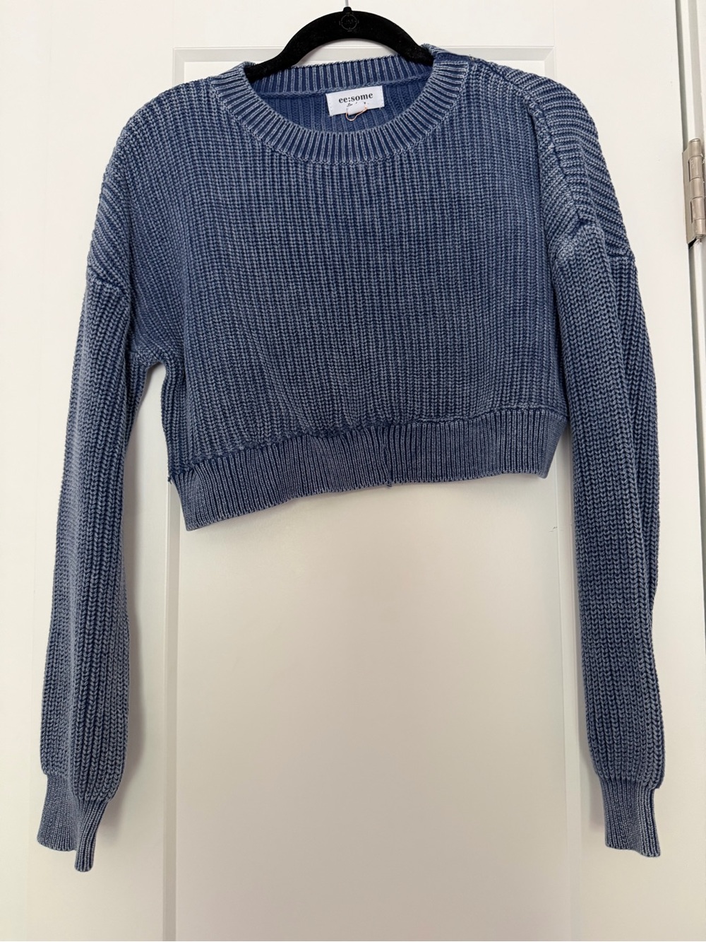 eesome Cropped Crewneck Sweater in Dusty Blue